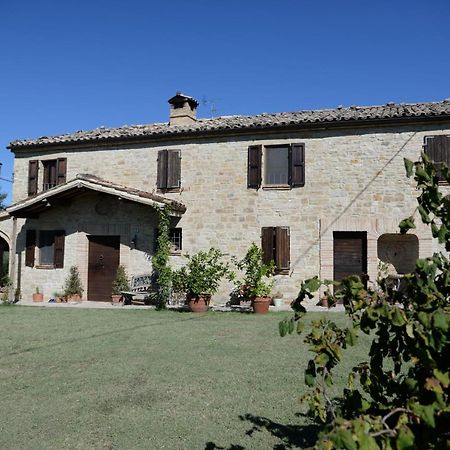 Cascinale La Mimosa Bed & Breakfast Cupramontana Luaran gambar