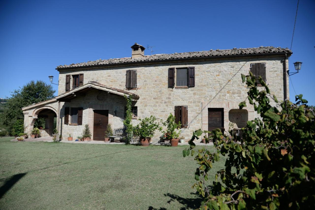 Cascinale La Mimosa Bed & Breakfast Cupramontana Luaran gambar