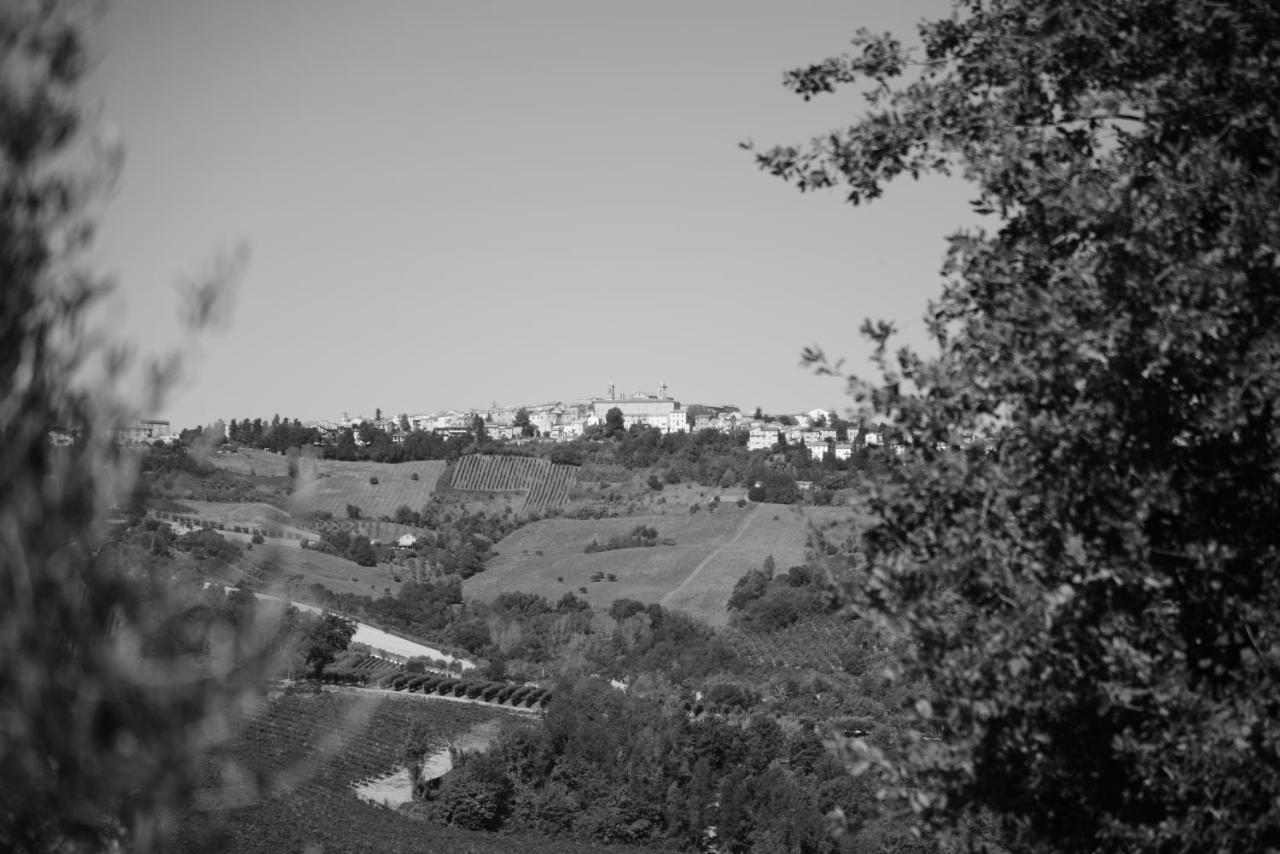 Cascinale La Mimosa Bed & Breakfast Cupramontana Luaran gambar