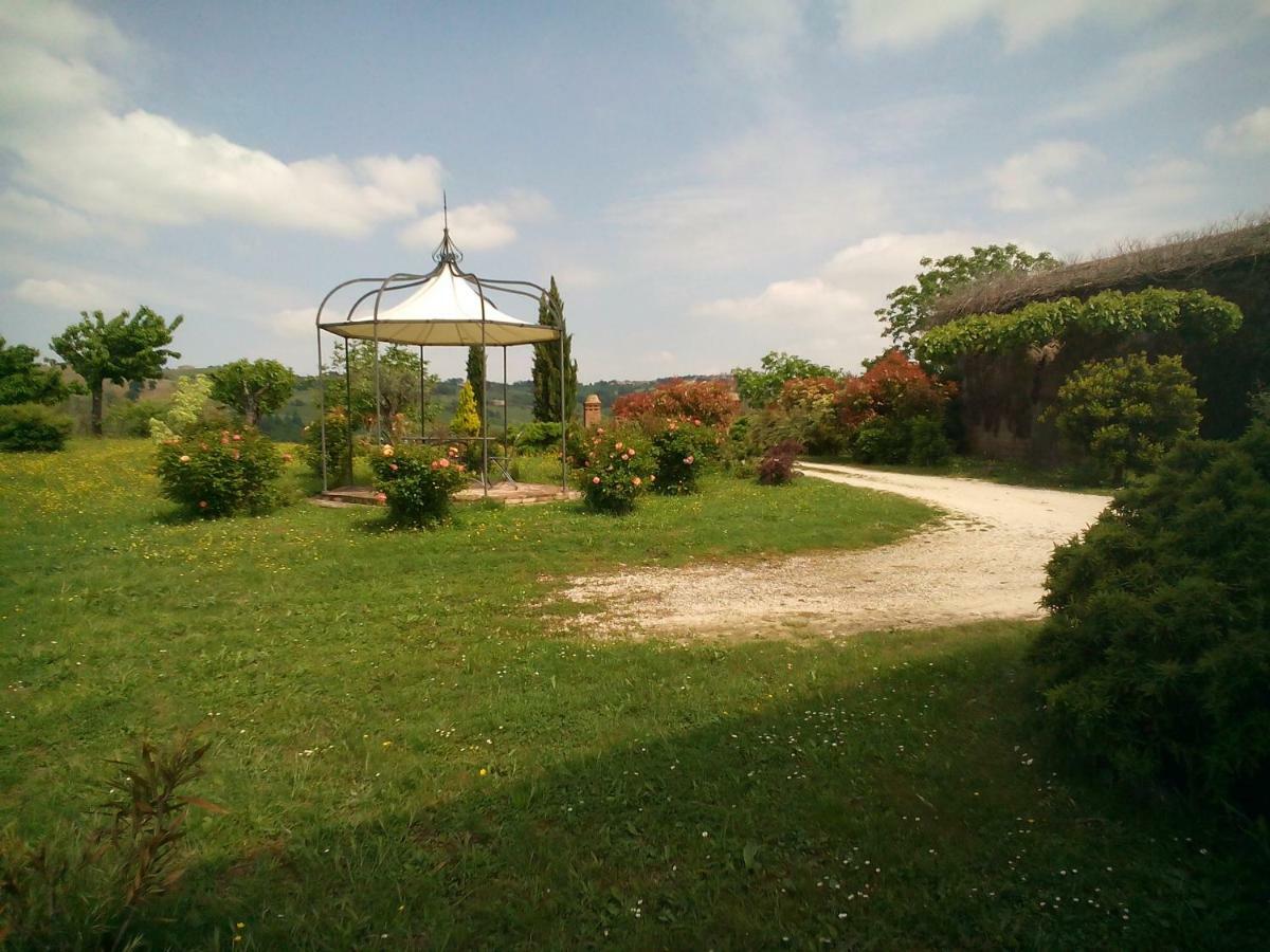 Cascinale La Mimosa Bed & Breakfast Cupramontana Luaran gambar